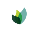 A Logo of Blanche Dental Clinic